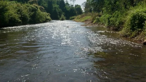 Nature river reflection landscape. Forest and a river in beautiful scenery. Stock Footage 124015537