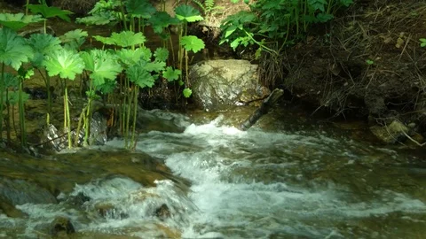 Nature, river, stream Video stock 76134732