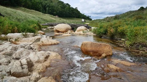 Nature river stream in the forest Stock Footage 107831114