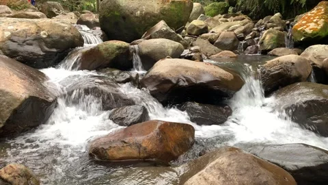 Nature River Views Video stock 242751595