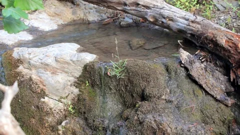 Nature river waterfall forest, Stock Footage 253558425