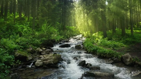 Nature river waterfall forest sun morning magical Stock Footage 146130302