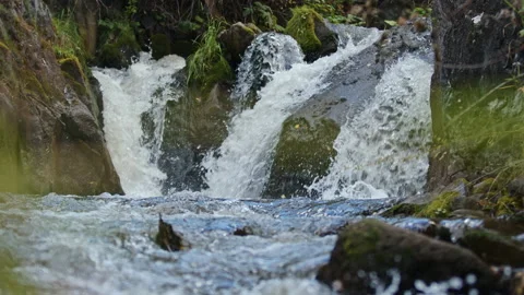 Nature river waterfall forest sun morning magical Stock Footage 182374447