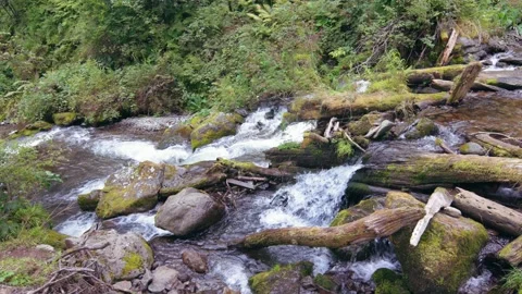 Nature river waterfall forest sun morning magical Stock Footage 273965340