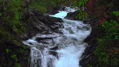Nature river waterfall forest, waterfall beauty, water flowing, cinematic shot. Stock Footage 242224907