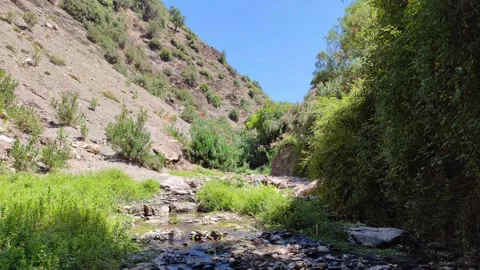 Nature river waterfall, Small stream, Stock Footage 253558545