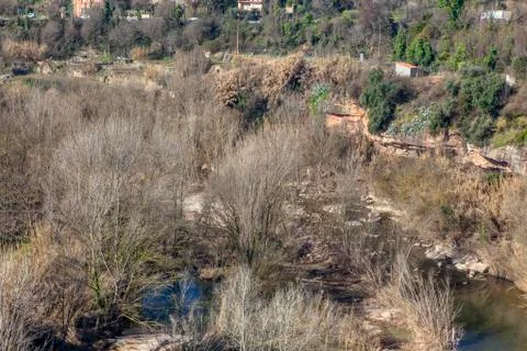 Nature of riverbed Stock Photos