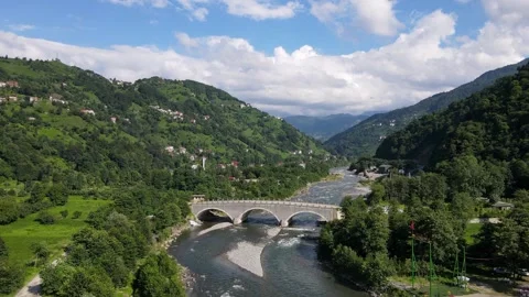 Nature Of Rize Stock Footage 331025047