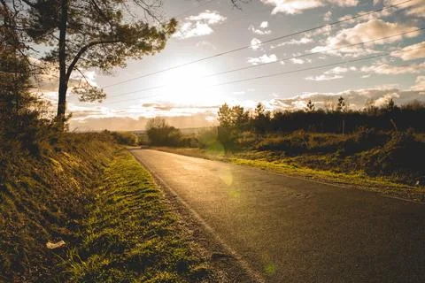 Nature on the road Foto stock