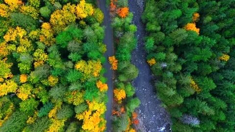 Nature Road View Stock Footage 304064669