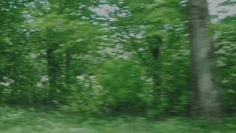 Nature Rolling By Car Window – Slow Motion Countryside Ride Stock Footage 308399484