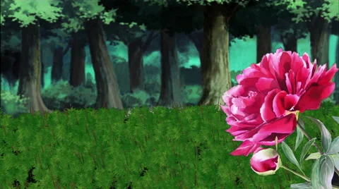 Nature, Rose, Forest, Green Field Stock Footage 45954559