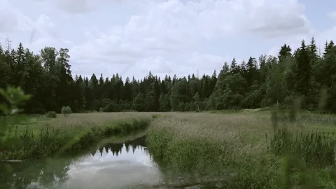 The nature of Russia. Stock Footage 96345680