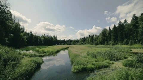 The nature of Russia. Stock Footage 96345926