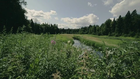 The nature of Russia. Stock Footage 96345976