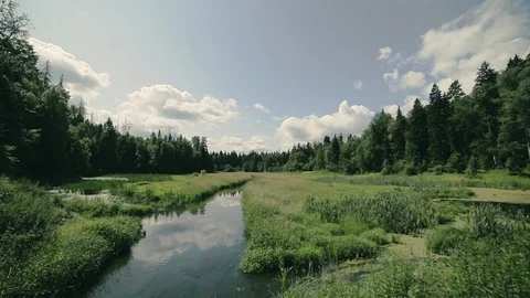 The nature of Russia. Stock Footage 96345995