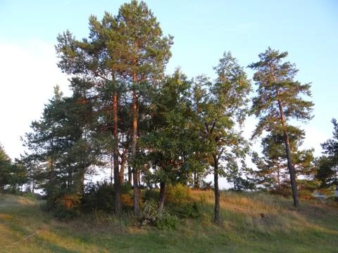 Nature Of Russia Stock Photos