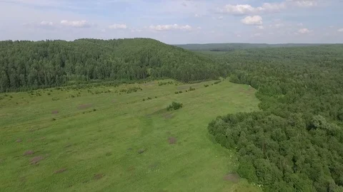 Nature in the Russian summer. 스톡 동영상 69980664