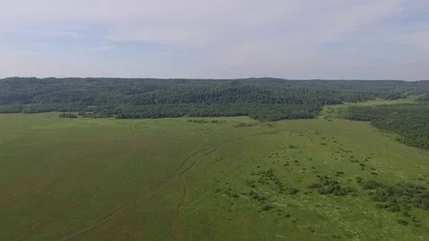Nature in the Russian summer. Stock Footage 69980699