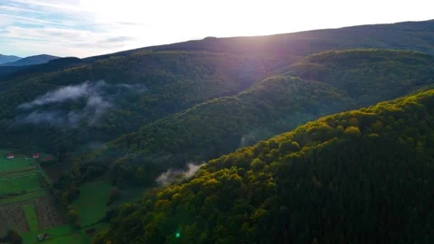 Nature s Hidden Haven Stock Footage 296617176