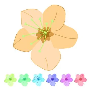 Nature sakura cherry blossom vector cartoon graphic Illustration