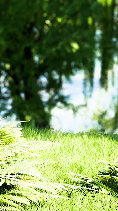 Nature scene with grass and trees near a lake in bright daylight Stock Footage 334886023