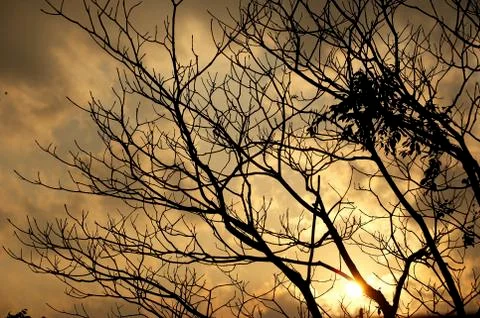 Nature scene Stock Photos