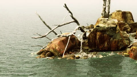 Nature scene with rocks and dead tree near water body on cloudy day Stock Footage 340988374