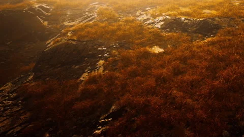 Nature scene with rocks and dry grass during sunset glow at the hillside Stock Footage 339490010