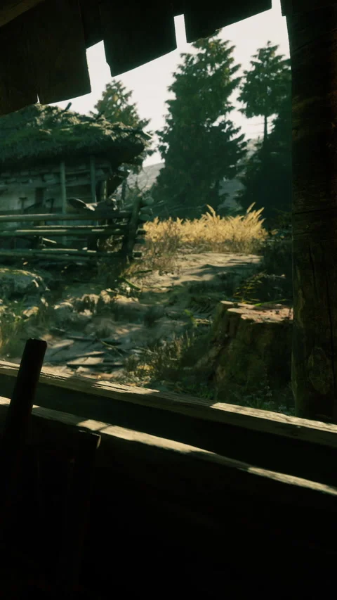 Nature scene showing a forest path and a cabin in the background during daytime Stock Footage 341017285