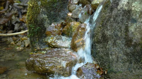 Nature Scene, Tiny Waterfall Splashes Over Colorful Stone Vídeos de archivo 255796098