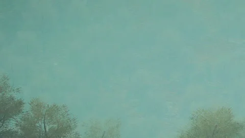 Nature scene with trees and mist over green hills during day Stock Footage 339500874