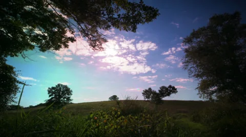 Nature Scene With Trees &amp; Fields Vídeo Stock 29462352