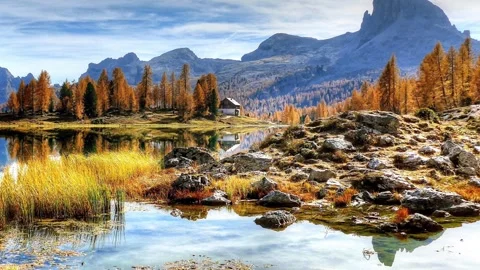 Nature Scenery Stock Footage 241645838