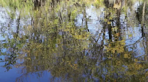 Nature Scenic Video stock 3980563