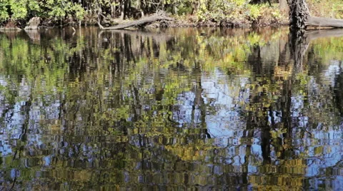 Nature Scenic Video stock 3980642