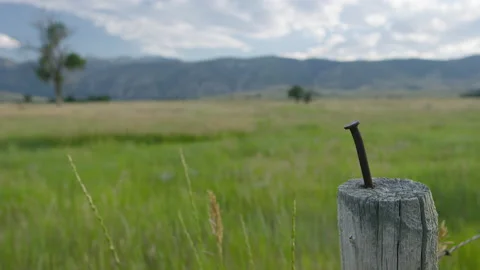 Nature, Scenic, Landscape, Texture, Ranch, Travel, Tourism, 4K Stock-Footage 142158136