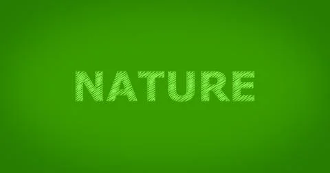 NATURE scribble text Illustrazione stock