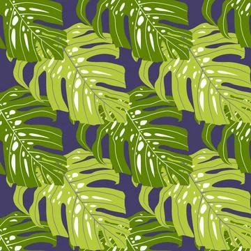 Nature seamless pattern with green simple hand drawn monstera leaves. Striped Stock Illustration