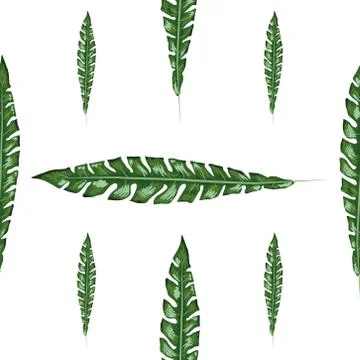 Nature seamless pattern. Hand drawn abstract tropical summer background: palm Stock Illustration