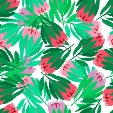 Nature seamless pattern with red and pink protea flowers elements. Isolated b イラスト素材