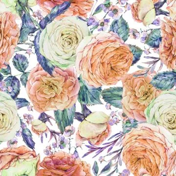 Nature seamless pattern with roses Stock Illustration