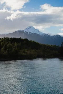 Nature selective focus, selective focus on subject, background blur,during ti Stock Photos