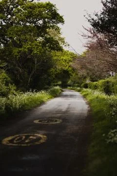 Nature selective focus, selective focus on subject, background blur,during ti Stock-Fotos