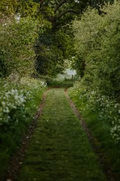 Nature selective focus, selective focus on subject, background blur,during ti Stock Photos