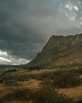 Nature selective focus, selective focus on subject, background blur,during ti Stock Photos