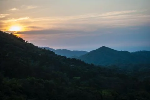 Nature selective focus, selective focus on subject, background blur,during ti Stock Photos