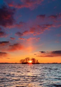 Nature selective focus, selective focus on subject, background blur,during ti Foto stock