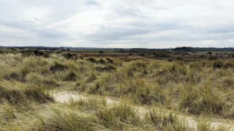 Nature selective focus, selective focus on subject, background blur,during ti Stock Photos