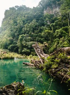 Nature Semuc Champey Stock Photos